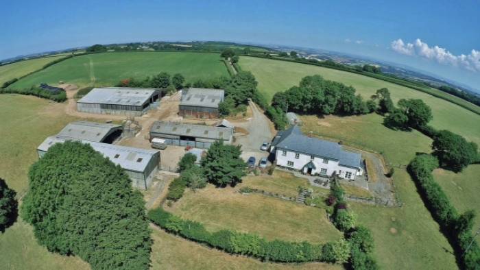 Southcott Farm is home to 800 ewes and some finishing cattle.