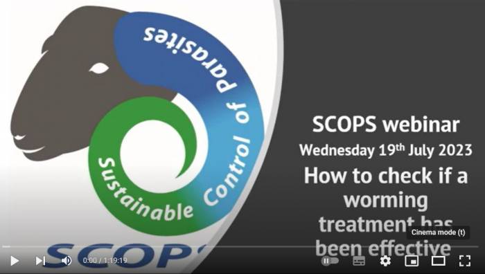 Watch a recording of the webinar on the SCOPS YouTube channel.