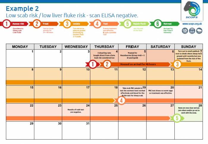 Click to download a blank quarantine calendar and calendar examples.