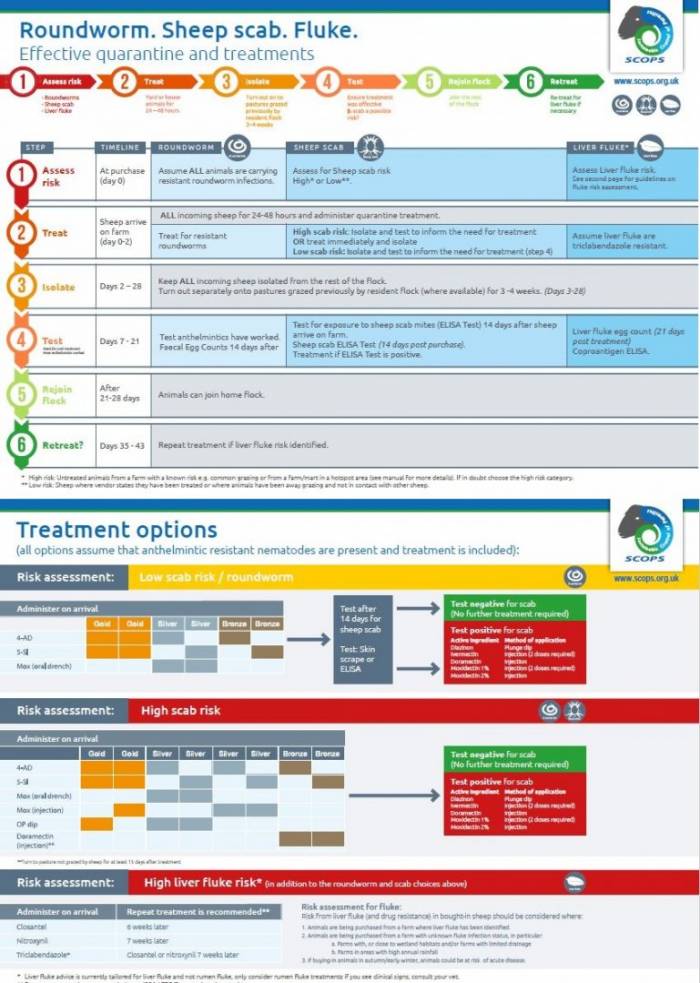 Click to download the step-by-step guide for quarantine testing and treatments.