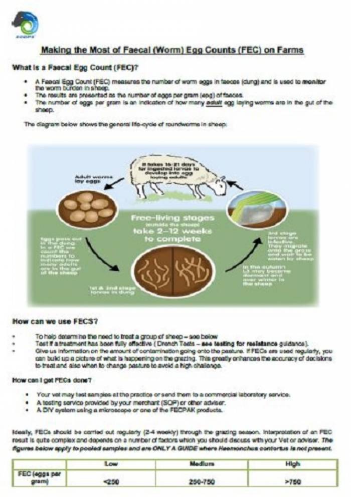 Click to read this handy SCOPS guide.