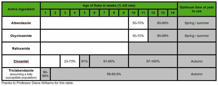 Different flukicides kill different ages of fluke. Click to view larger.