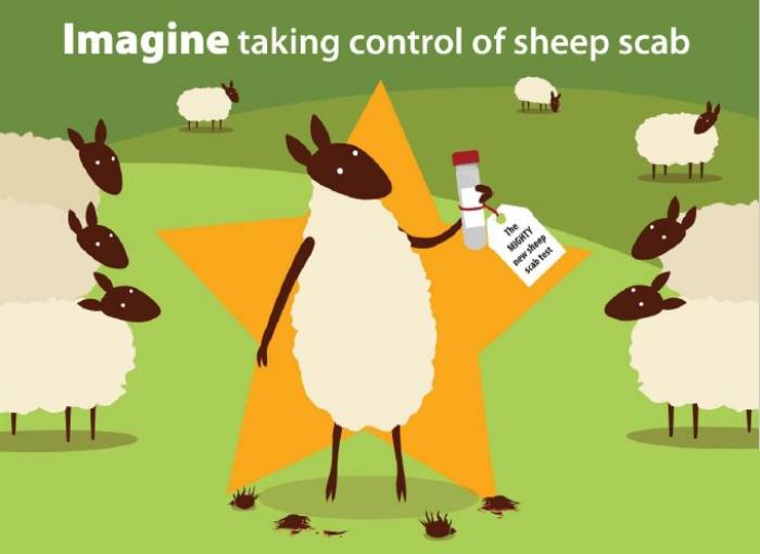 Click for Moredun's informative sheep scab ELISA test comic strip.