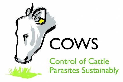 External parasite advice for cattle keepers