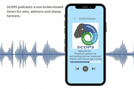 Listen to the SCOPS sheep scab podcast