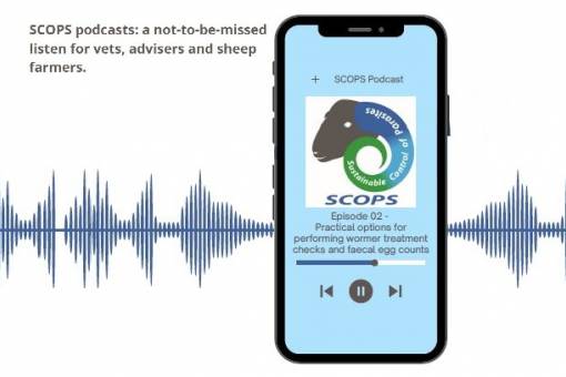 Listen to the SCOPS liver fluke podcasts